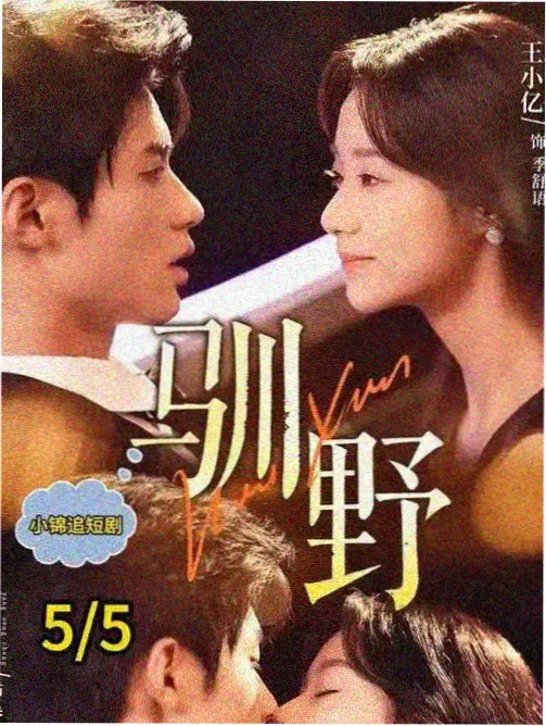 咒术回战 涩谷事变2 - 动漫推荐